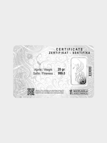 20 Gram Külçe Gümüş