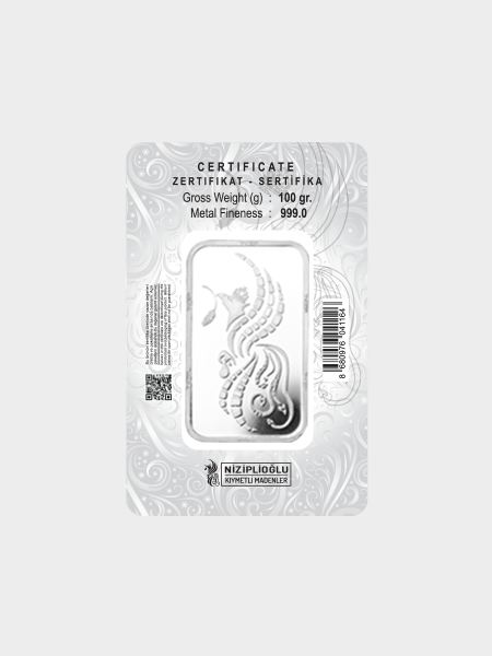 100 Gram Külçe Gümüş